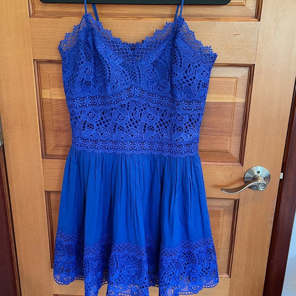 CLOSET CLOSEOUT SALE - RARE Venus Royal Blue Lace Dress - NWOT